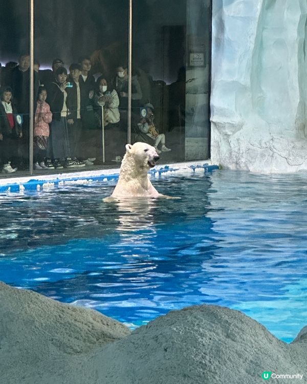 珠海長隆海洋王國攻略