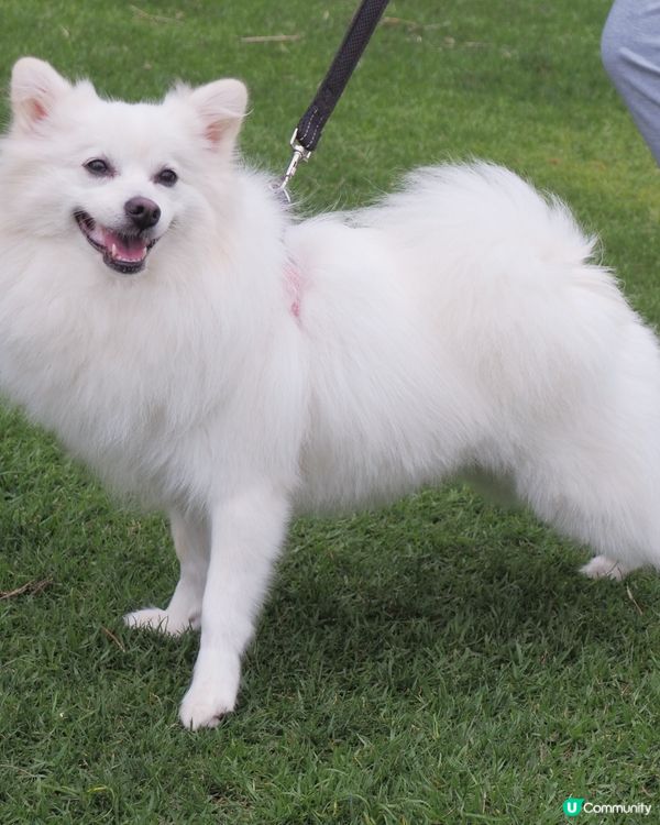 女兒眼中的我📸❤️兒童攝影課程