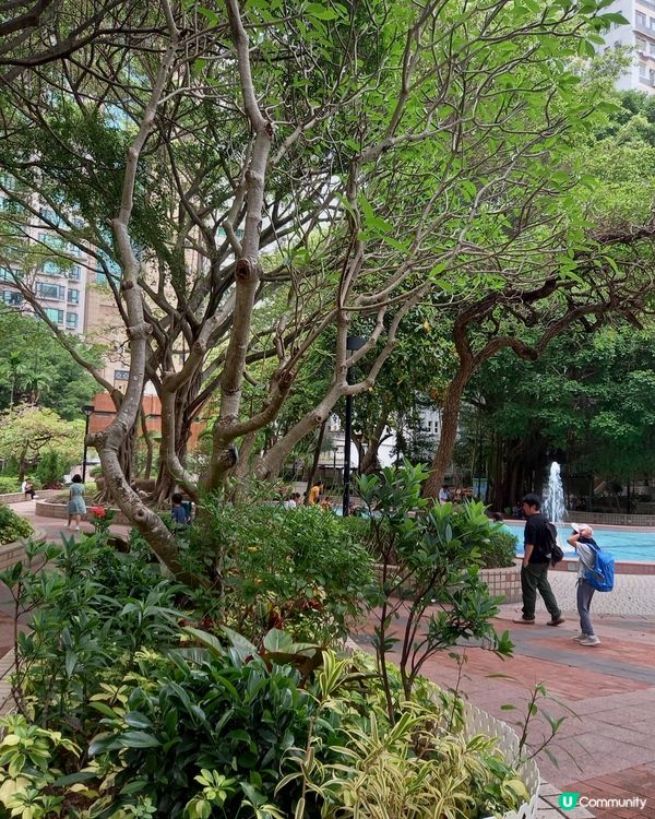 3-5-2025 灣仔公園