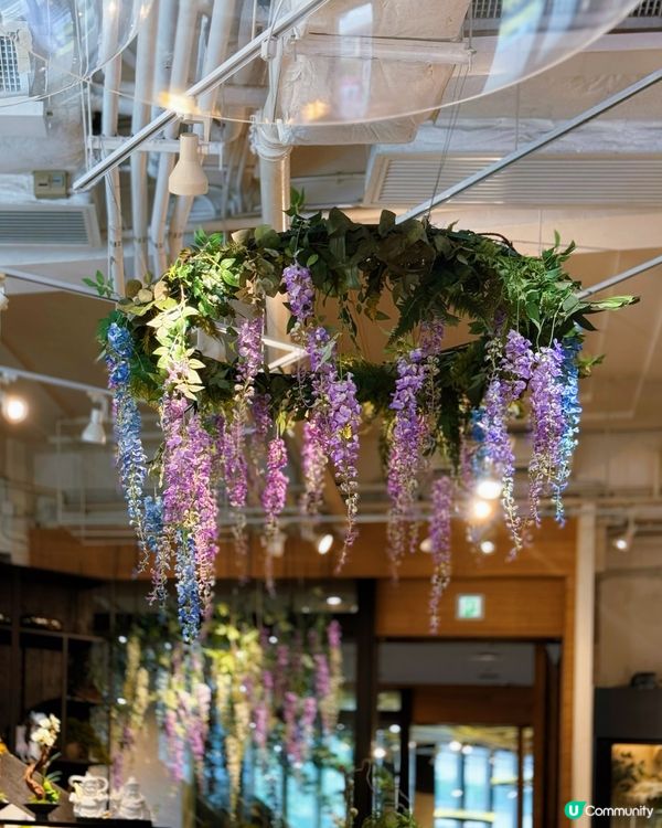 灣仔素食之旅😋超治癒的綠植🪴美味的全日早餐🥣