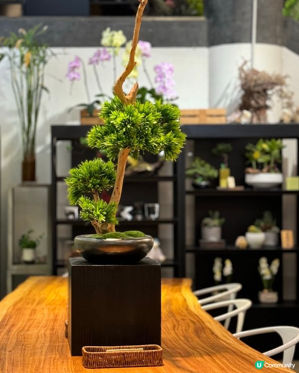 灣仔素食之旅😋超治癒的綠植🪴美味的全日早餐🥣