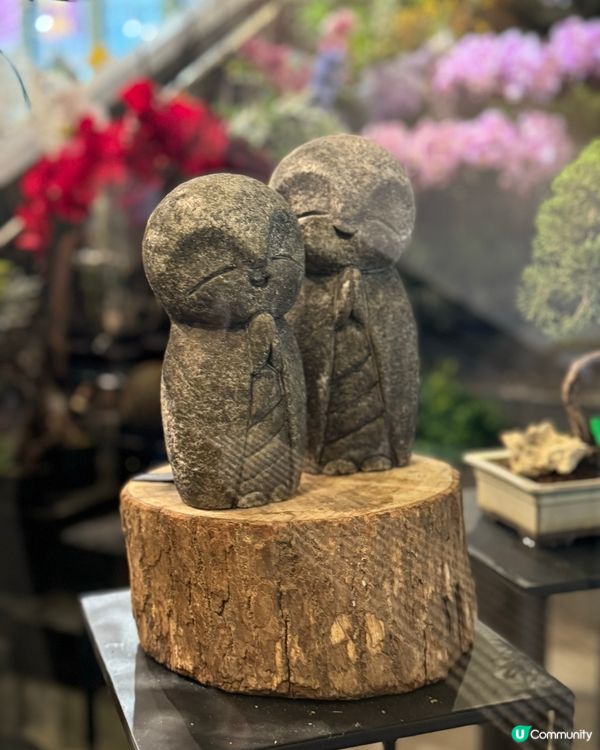 灣仔素食之旅😋超治癒的綠植🪴美味的全日早餐🥣