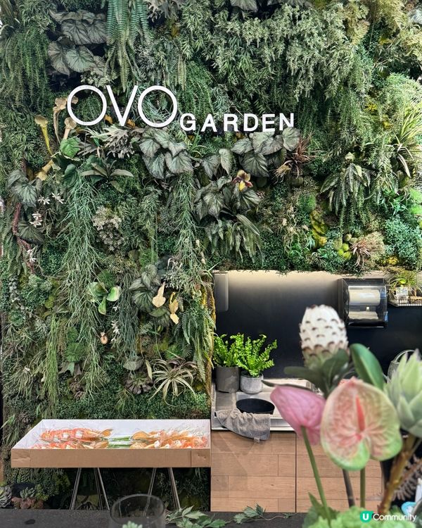 灣仔素食之旅😋超治癒的綠植🪴美味的全日早餐🥣