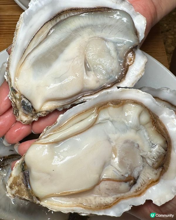 成隻手掌咁大！潮不二生蠔四重奏🤯