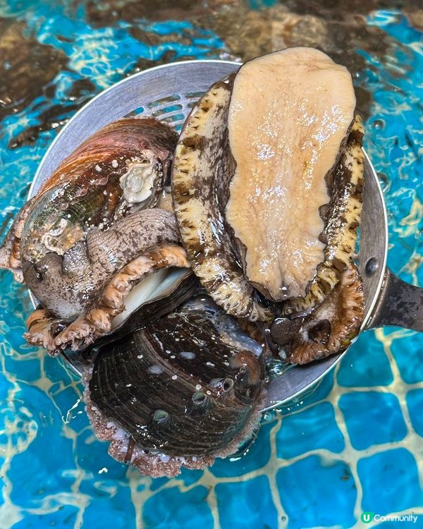 成隻手掌咁大！潮不二生蠔四重奏🤯