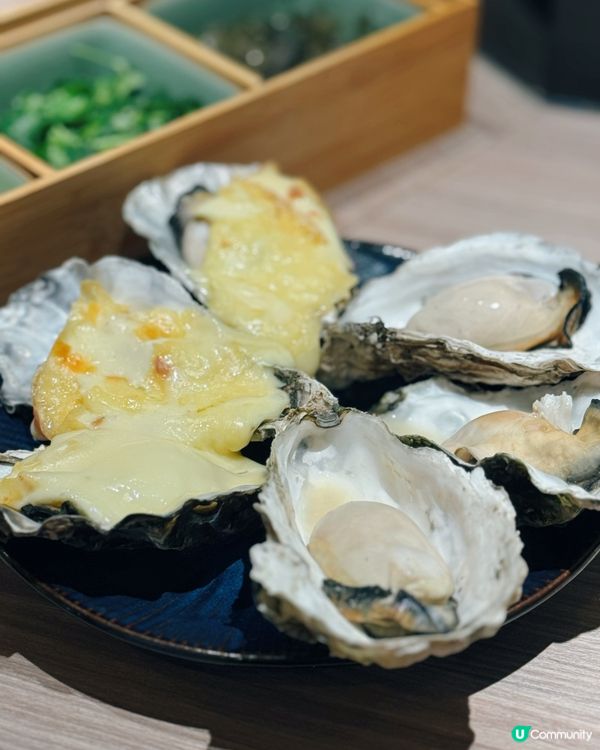 【灣仔 ✦ 🇯🇵高水準日式居酒屋🍶✨】