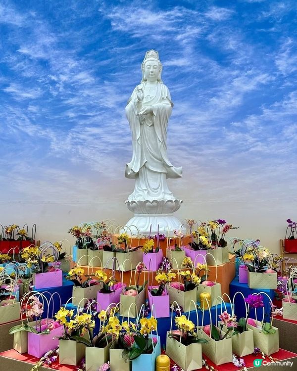 沐佛🪔佛誔嘉年華會