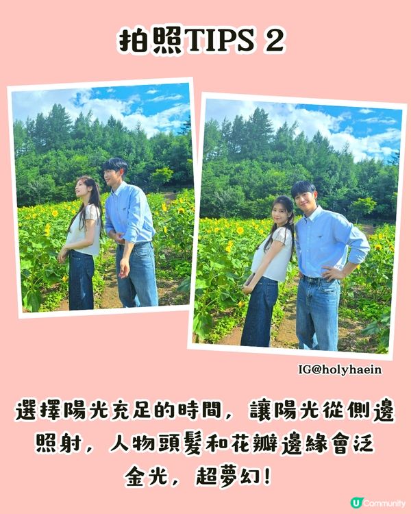 深圳打卡向日葵公園🌻逾3萬呎黃金花海😍免費入場/地鐵直達‼️附2個打卡TIPS