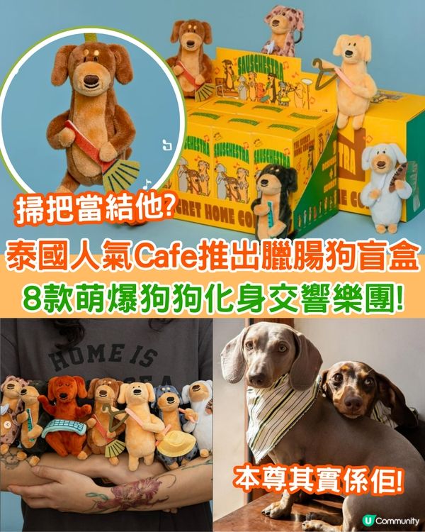 泰國人氣Cafe推出臘腸狗盲盒🐶8款狗狗拿掃把/麵包當樂器超可愛🔥附購買資訊
