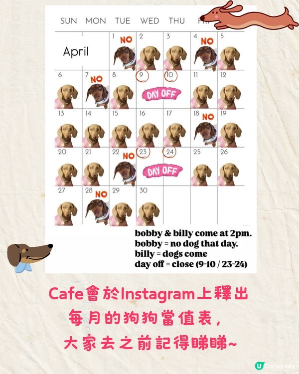 泰國人氣Cafe推出臘腸狗盲盒🐶8款狗狗拿掃把/麵包當樂器超可愛🔥附購買資訊