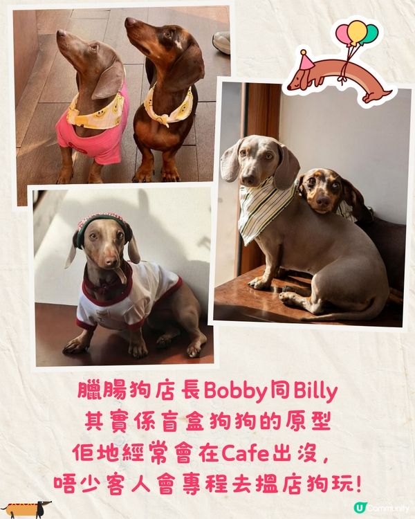 泰國人氣Cafe推出臘腸狗盲盒🐶8款狗狗拿掃把/麵包當樂器超可愛🔥附購買資訊