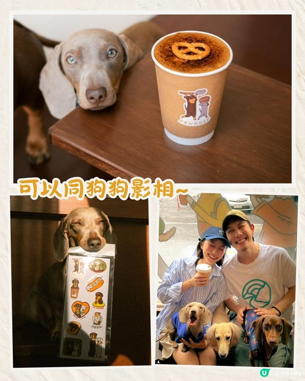 泰國人氣Cafe推出臘腸狗盲盒🐶8款狗狗拿掃把/麵包當樂器超可愛🔥附購買資訊
