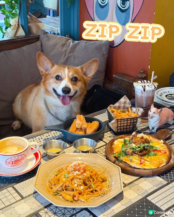 銅鑼灣寵物友善餐廳🐶  食飯帶埋毛孩🥰