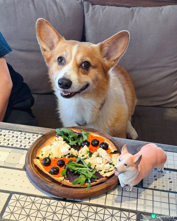 銅鑼灣寵物友善餐廳🐶  食飯帶埋毛孩🥰