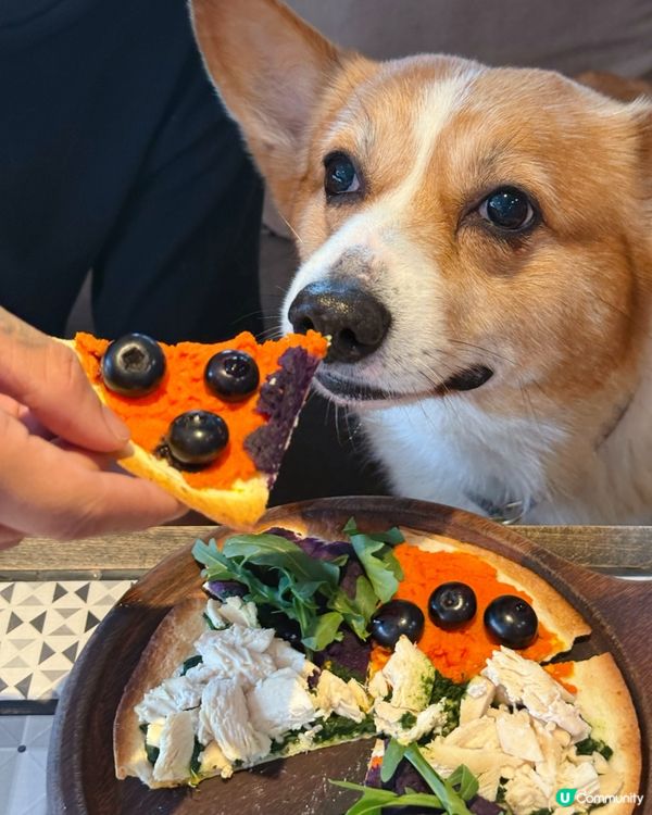 銅鑼灣寵物友善餐廳🐶  食飯帶埋毛孩🥰