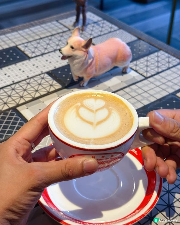 銅鑼灣寵物友善餐廳🐶  食飯帶埋毛孩🥰