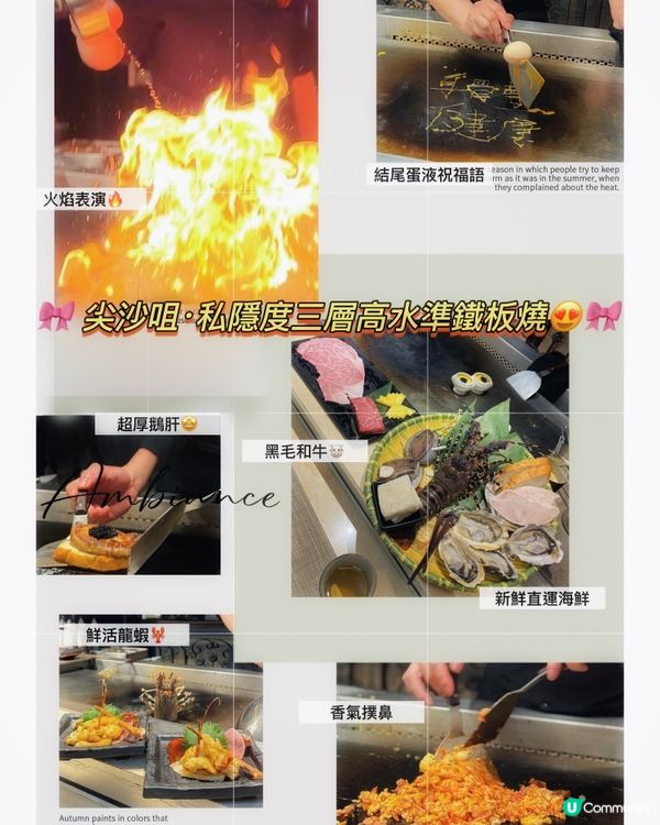 🎀 尖沙咀｡私隱度三層高水準鐵板燒😍🎀