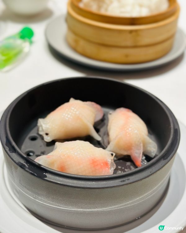 《🇲🇴澳門篇·新濠天地精緻點心》🍵高質精緻點心中餐 🍵