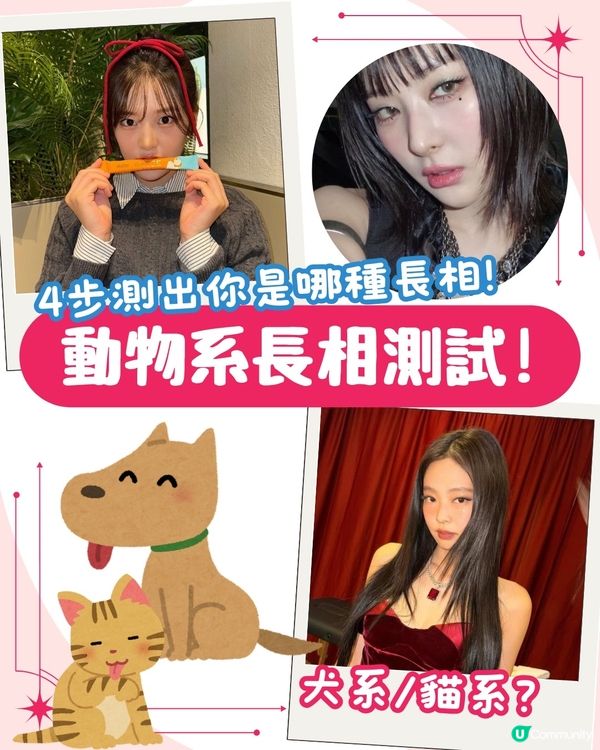 你是哪種動物系長相🐶？簡單4步驟從五官判斷魅力密碼！