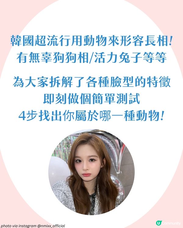 你是哪種動物系長相🐶？簡單4步驟從五官判斷魅力密碼！