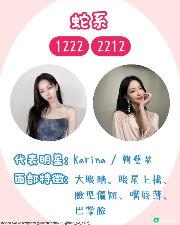 你是哪種動物系長相🐶？簡單4步驟從五官判斷魅力密碼！