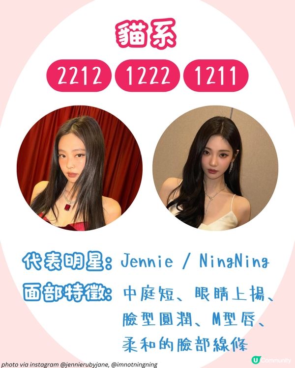 你是哪種動物系長相🐶？簡單4步驟從五官判斷魅力密碼！