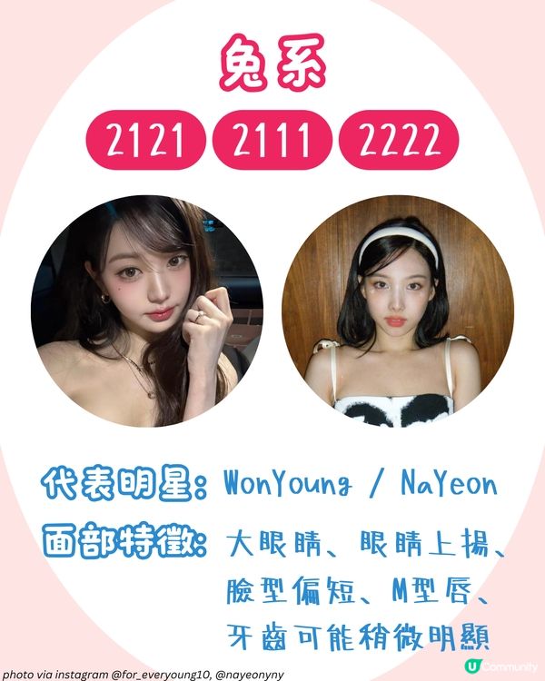 你是哪種動物系長相🐶？簡單4步驟從五官判斷魅力密碼！