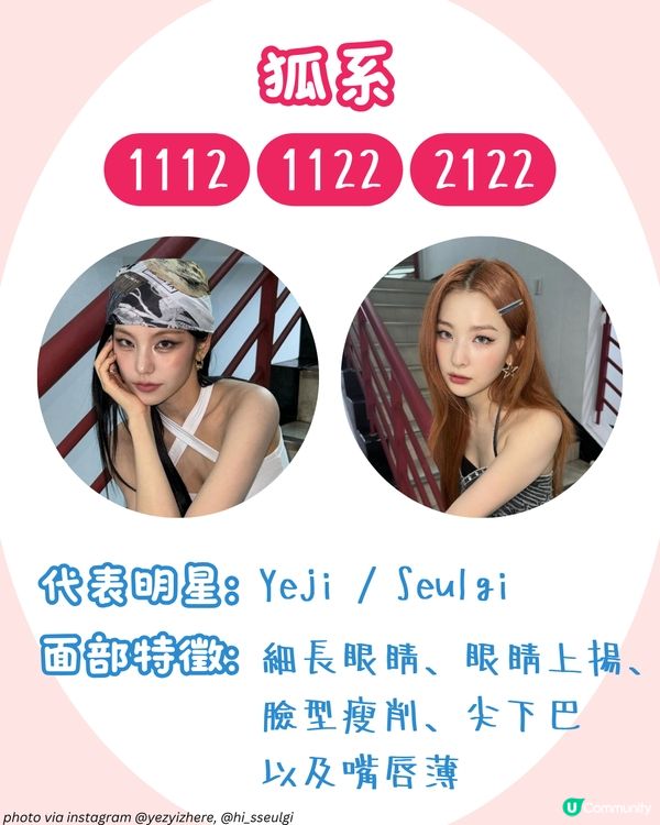 你是哪種動物系長相🐶？簡單4步驟從五官判斷魅力密碼！