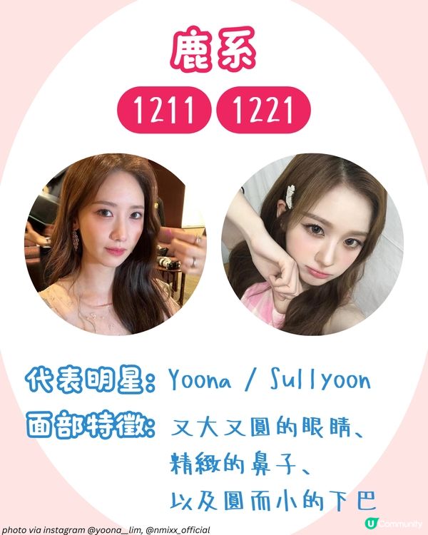 你是哪種動物系長相🐶？簡單4步驟從五官判斷魅力密碼！