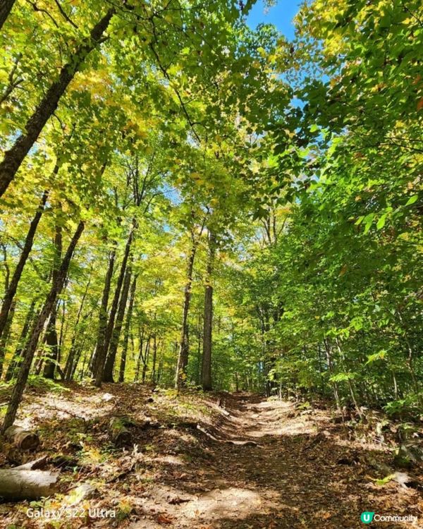 如果可以喺度生活，起返間屋你話幾好呢🏡