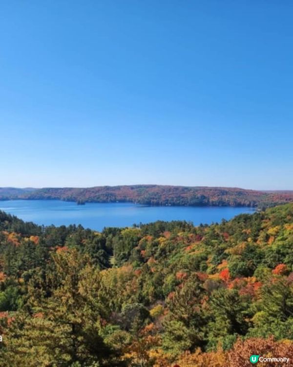 如果可以喺度生活，起返間屋你話幾好呢🏡