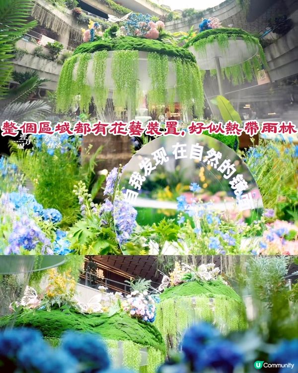 深圳前海壹方城打卡秘點🌺藤蔓花藝裝置如置身新加坡‼️免費打卡/地鐵直達🚇4大打卡位