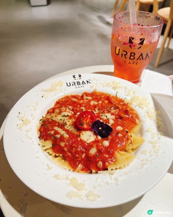 荔枝角貓狗同樂Cafe！貴婦狗🐶×駐店貓咪🐱