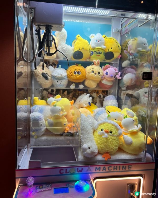 《元朗異國風情泰國菜🔥》