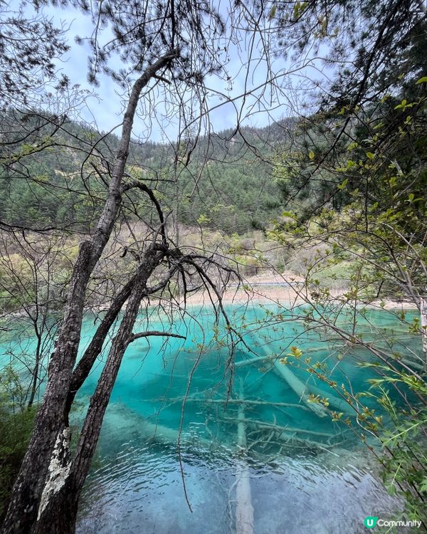 Jiuzhaigou