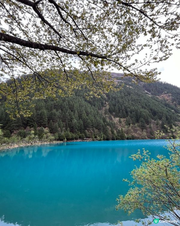 #中國好去處#中國食買玩#隱世打卡點#chill賞遊世界#c...