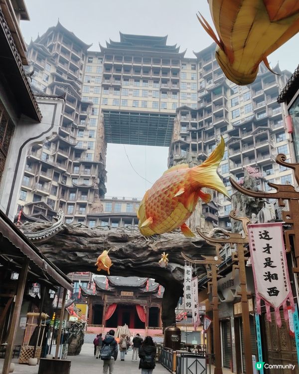 湖南張家界，大家去過未呀？？？