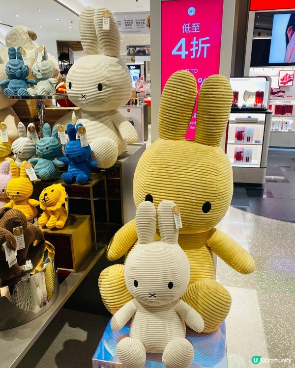 超可愛miffy兔bunny😇