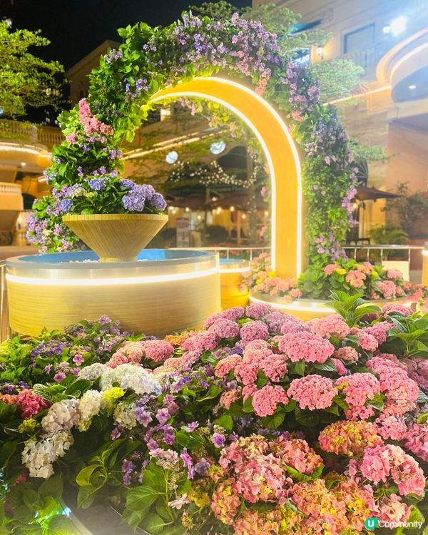 剛過去的繡球花節❤️‍🔥💞