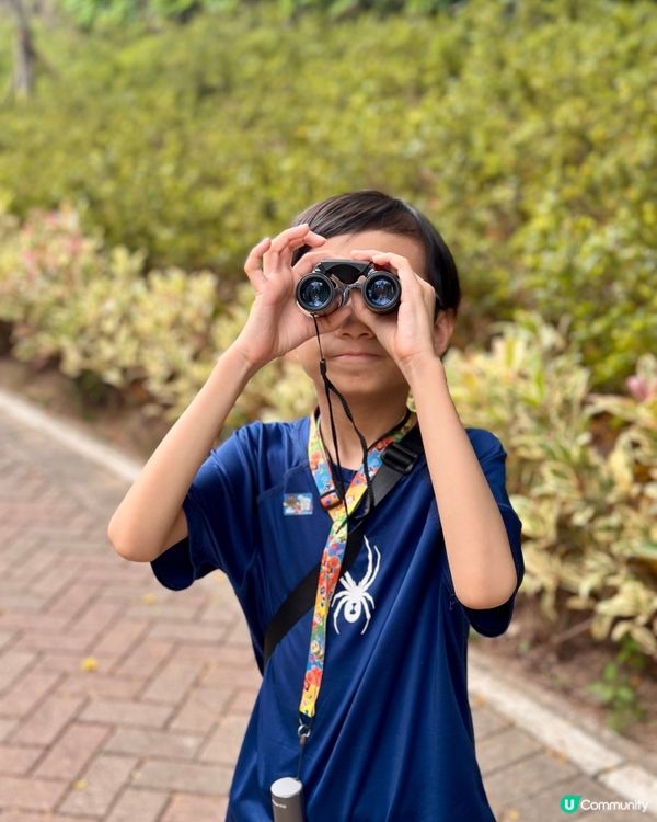 麻雀普查員2025 實地考察🔎