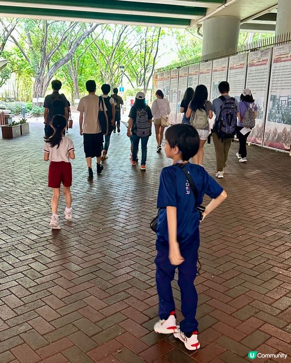 麻雀普查員2025 實地考察🔎