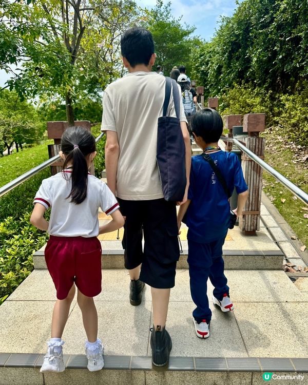 麻雀普查員2025 實地考察🔎