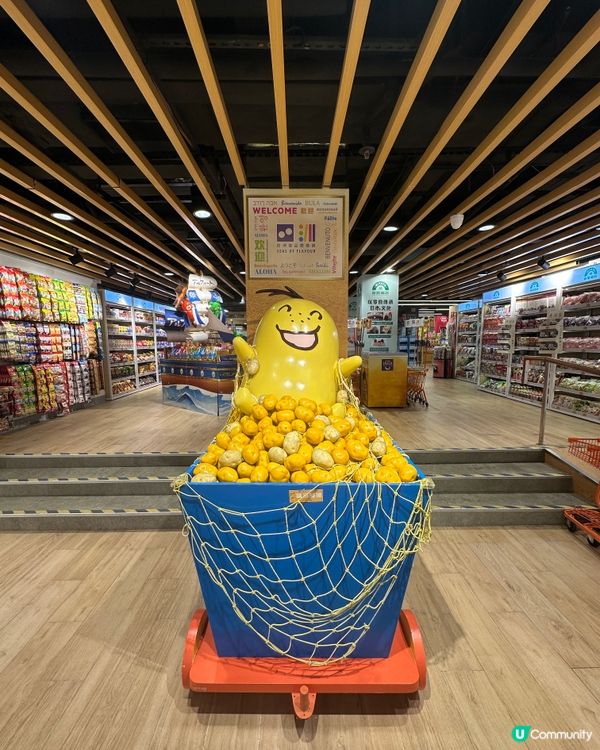 銅鑼灣全新2萬平方呎零食館