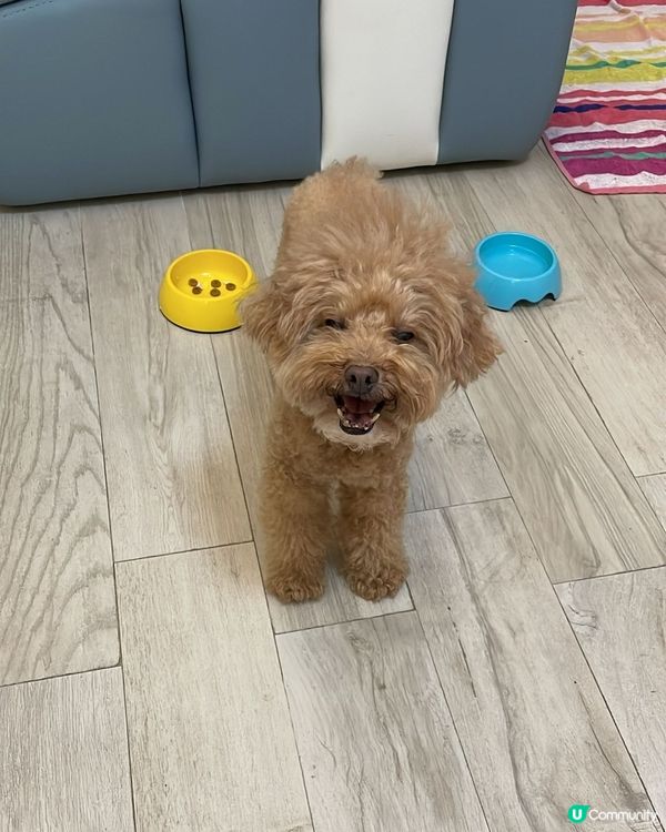 禾今日去街街好開心呀