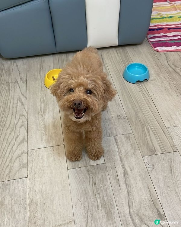 禾今日去街街好開心呀