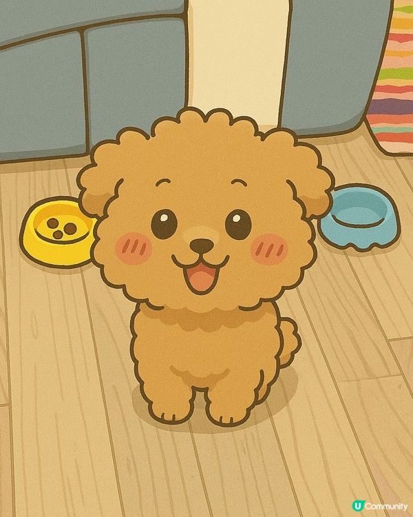 禾今日去街街好開心呀