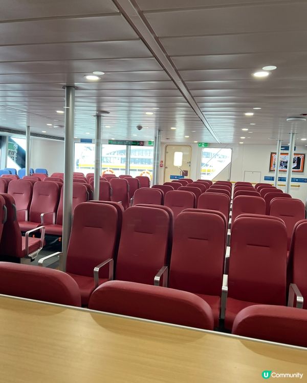 紅磡來回北角！大家搭左新明珠29未？❤️❤️🤣🤣