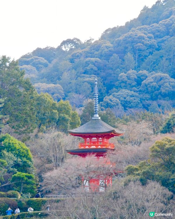 京都清水寺