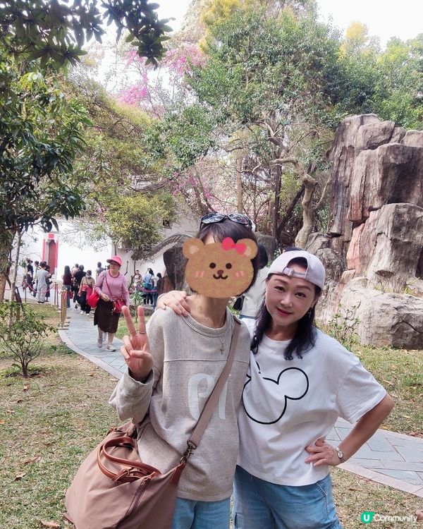 🌸我愛花花🌸之深圳園博園🌸勒杜鵑花海，打卡必備！📸