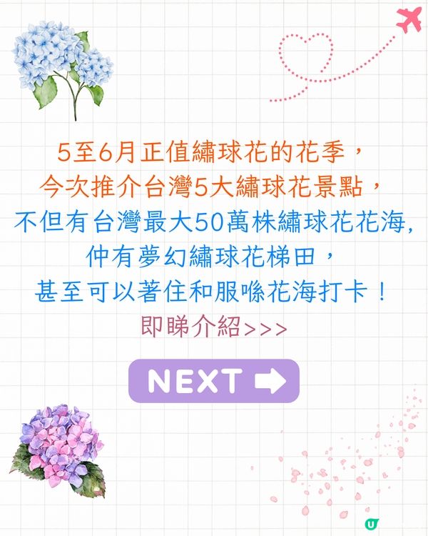 台灣5大繡球花景點🪻全台最大50萬株花海/繡球花童話樂園/絕美梯田🚗附交通資訊